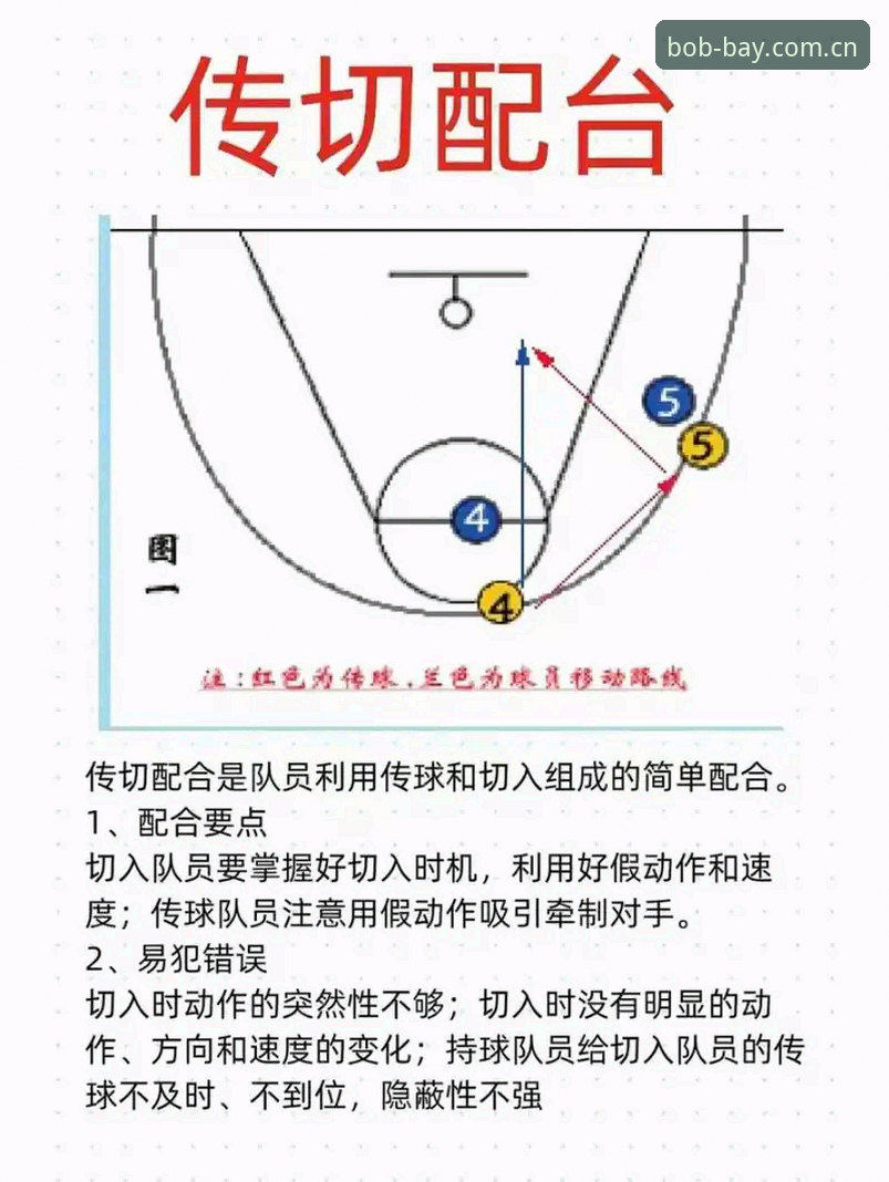 半岛体育比分数据教程：从入门到精通的实战操作指南